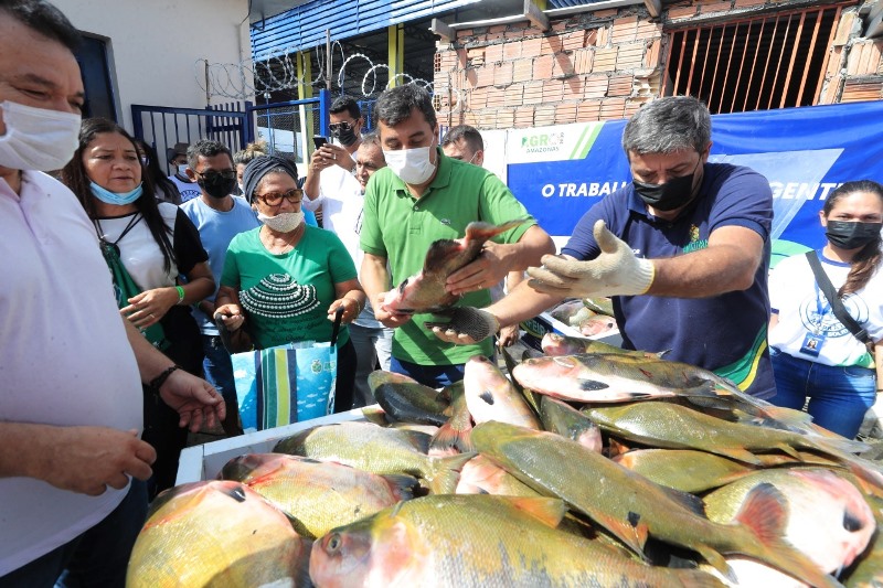 Programa Peixe no Prato Solidário entrega 20 toneladas de pescado a 8