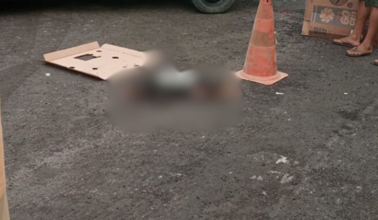 Cão morre atropelado por rolo compressor da Seminf em Manaus