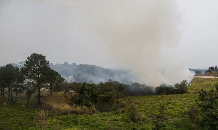 Sobe para dez número de presos por queimadas no interior de SP